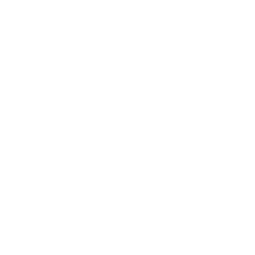 Logo RINGFEDER POWER TRANSMISSION (TIF; weiß; geeignet für Druck)