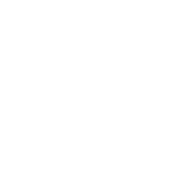 Logo RINGFEDER® (PNG; weiß; geeignet für Webnutzung)