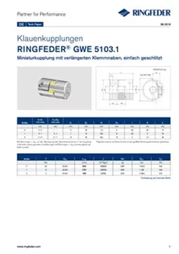 Tech Paper Elastische Klauenkupplungen RINGFEDER® GWE 5103.1