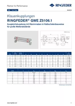 Tech Paper Elastische Klauenkupplungen RINGFEDER® GWE Z5106.1