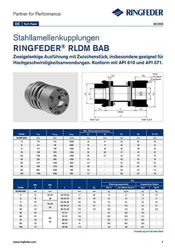 Tech Paper Stahllamellenkupplungen RINGFEDER® RLDM BAB
