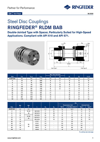 Tech Paper Steel Disc Couplings RINGFEDER® RLDM BAB