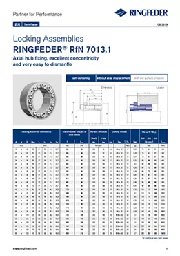 Tech Paper Locking Assemblies RINGFEDER® RfN 7013.1