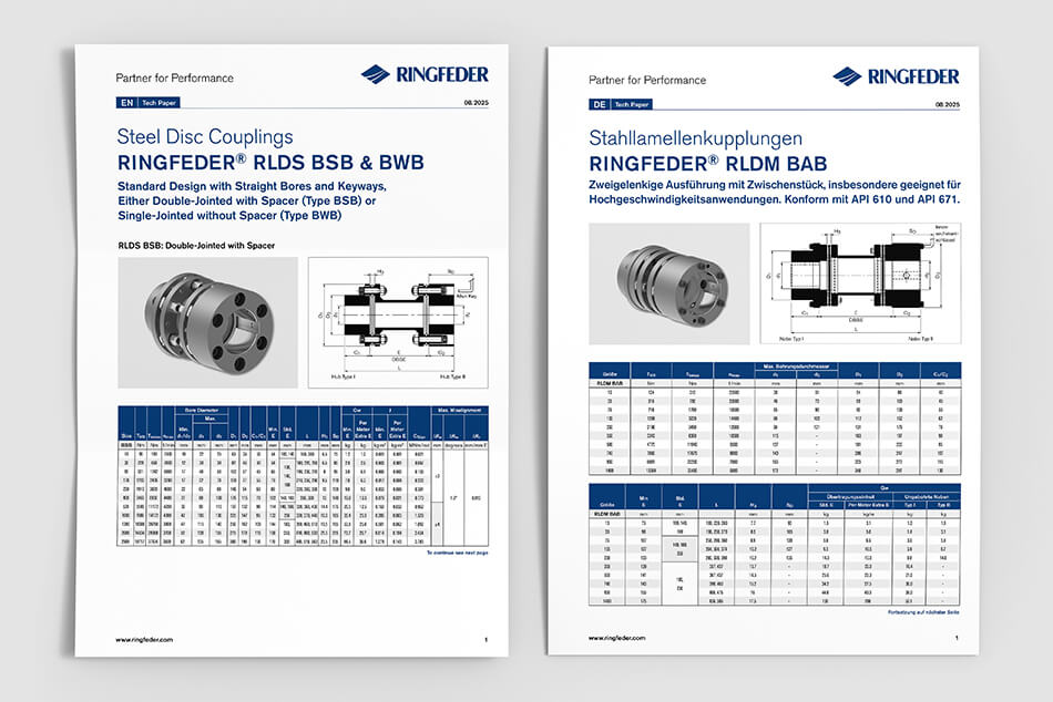 Steel Disc Couplings RLDS & RLDM: Your Benefits at a Glance | RINGFEDER®